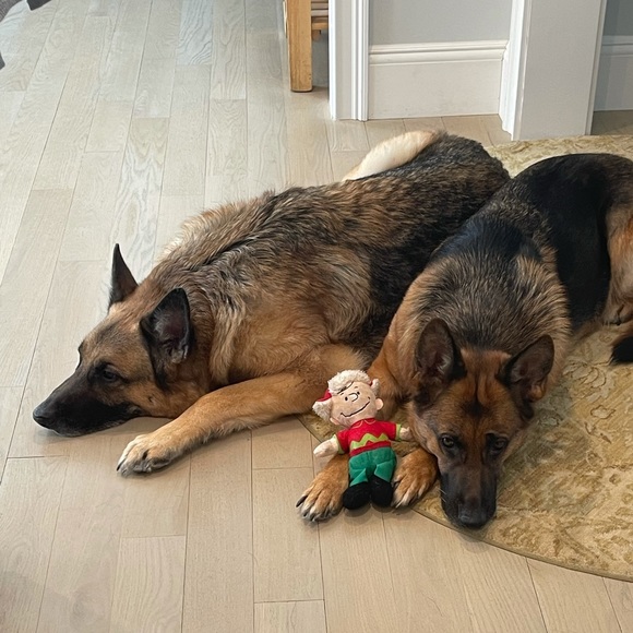 gsdlover17